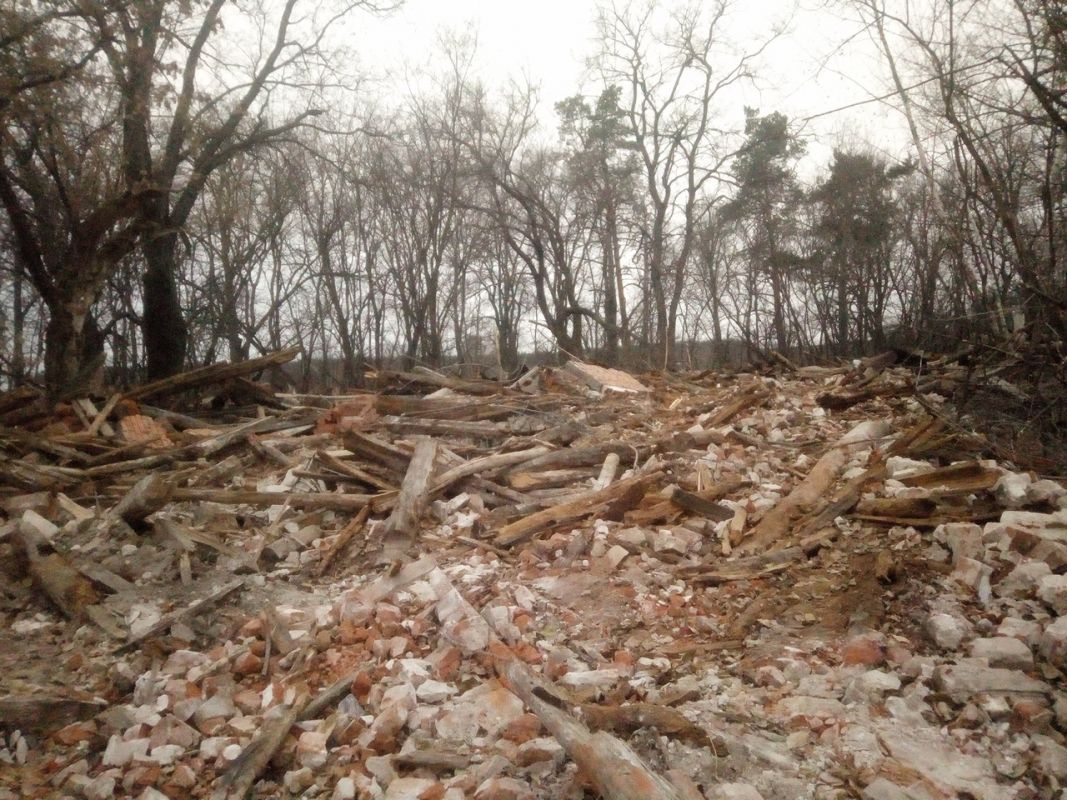 Полиция возбудила уголовное дело после сноса усадьбы Олениных под Воронежем
