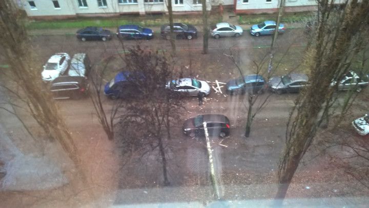В Воронеже упавшее дерево разбило сразу два автомобиля