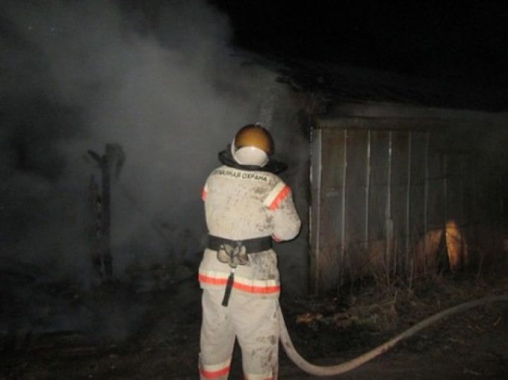 В Воронеже из горящего дома вытащили его хозяина