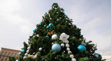 Воронежская ёлка попала в топ-25 самых высоких новогодних ёлок России
