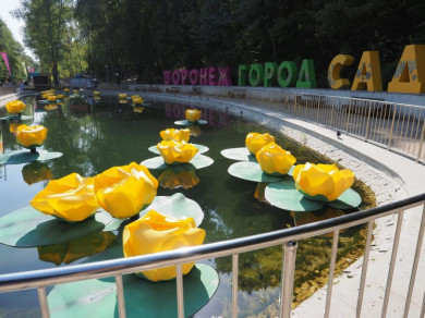 Воронежцам 2019 год запомнился культурными событиями
