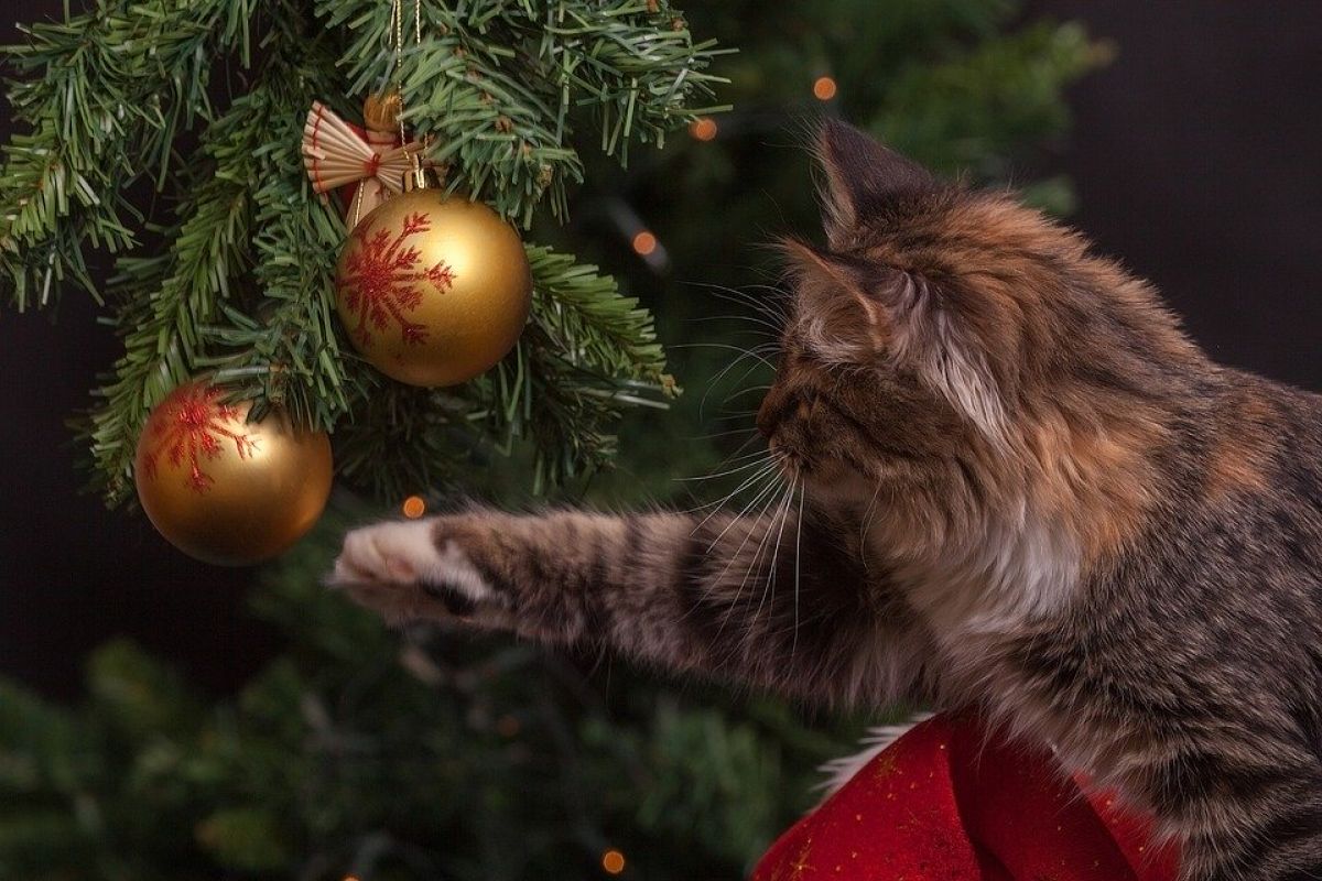 Новогодние Нерабочие Праздничные