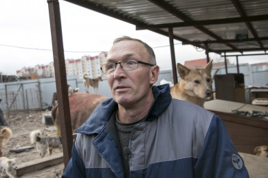 В Воронеже напали на хозяина приюта для бездомных собак
