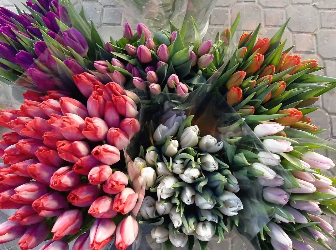 Роскачетсво предупредило об уловках продавцов перед 8 Марта
