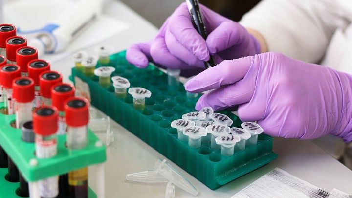 10 вопросов об эпидемии COVID-19 в Воронеже