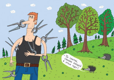 В Воронежской области открыли горячую линию по вопросам укусов клещей
