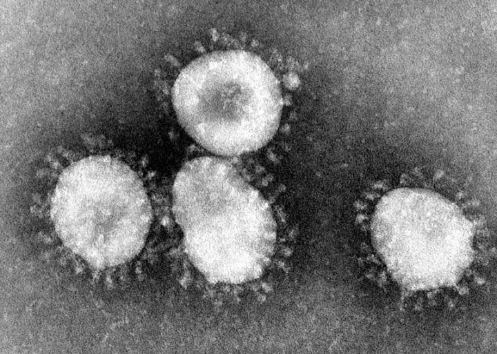 Мифы и правда о коронавирусе