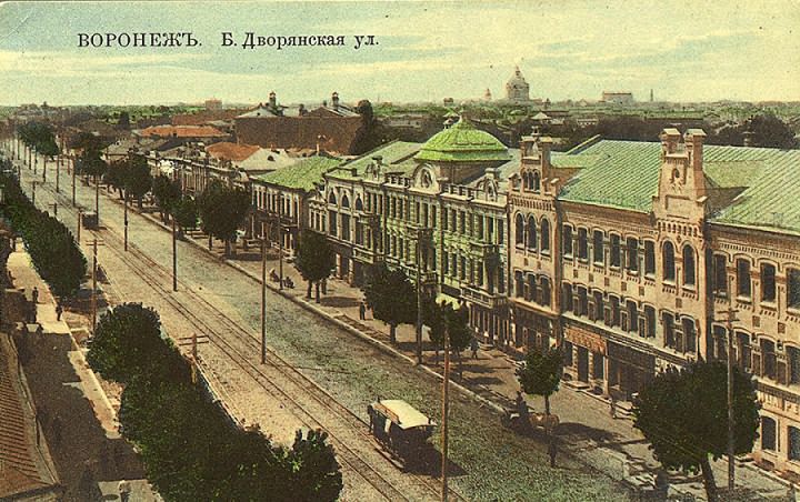 Насколько хорошо вы разбираетесь в истории главной улицы Воронежа?