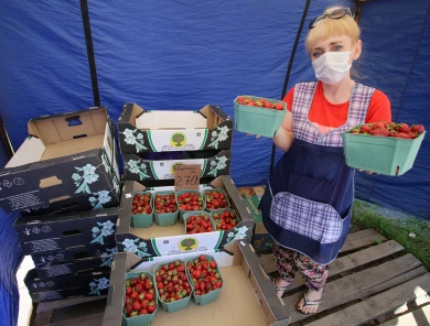 Почему в этом году в Воронеже такая дорогая клубника?
