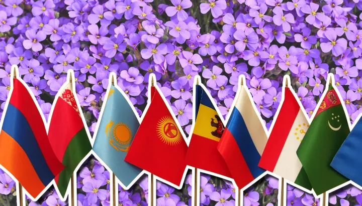 Когда зацветает саммит...