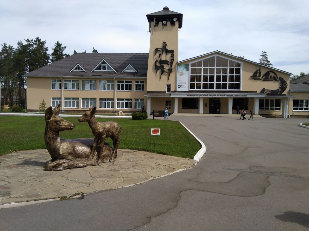 Воронежский заповедник откроется 8 июля