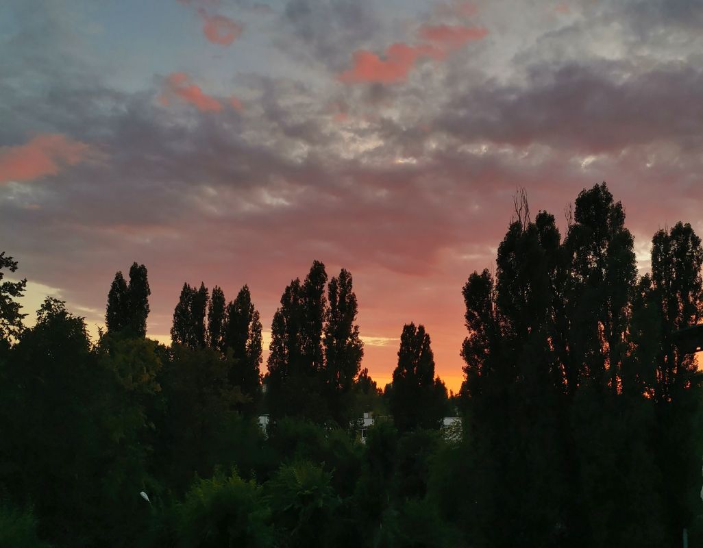 Воронеж.